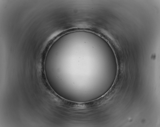 X0000101171315200807111043