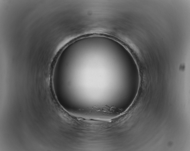X0000101171316200807111043