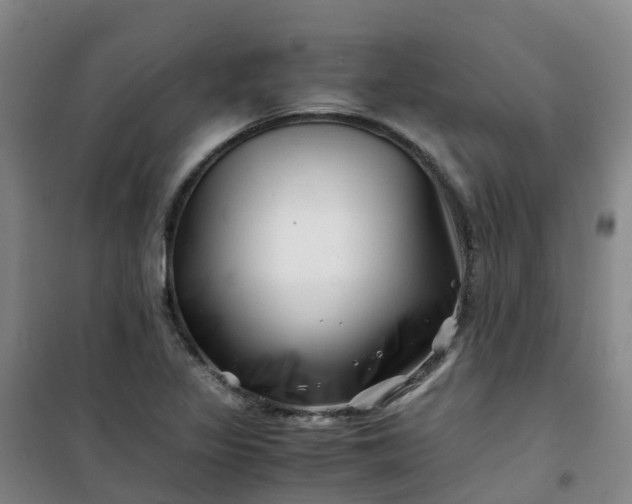 X0000101171317200807111043