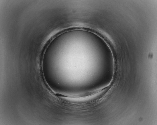 X0000101171318200807111043