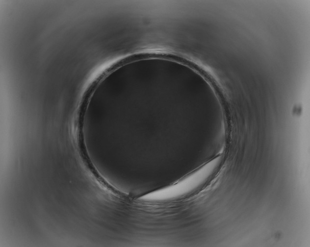 X0000101171319200807111043
