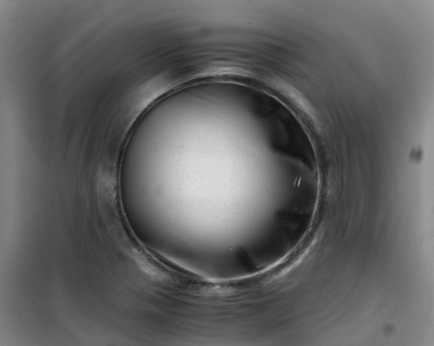 X0000101171321200807111043