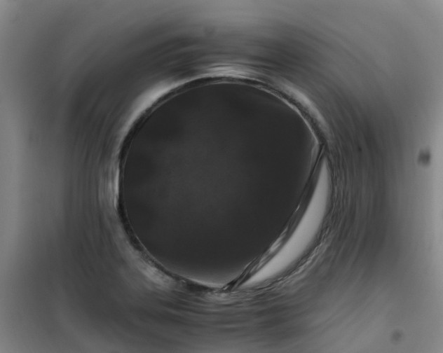 X0000101171323200807111043
