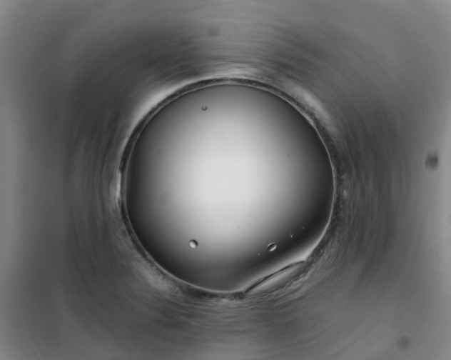 X0000101171324200807111043
