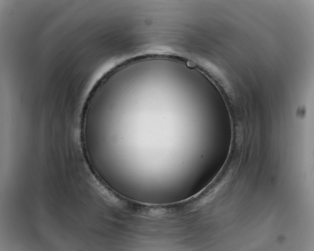 X0000101171326200807111043