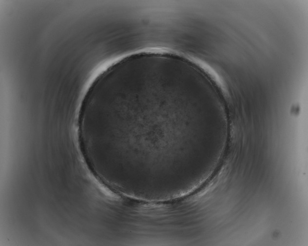 X0000101171327200807111043