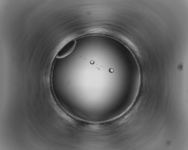 X0000101171330200807111043