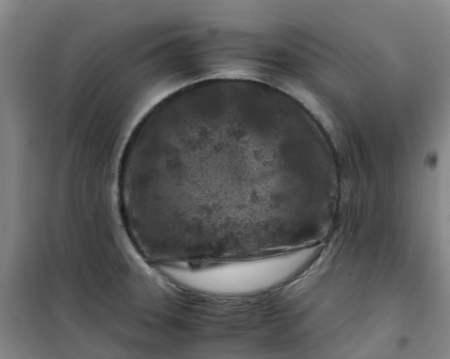 X0000101171331200807111043