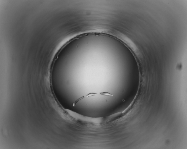 X0000101171332200807111043
