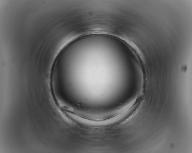 X0000101171333200807111043