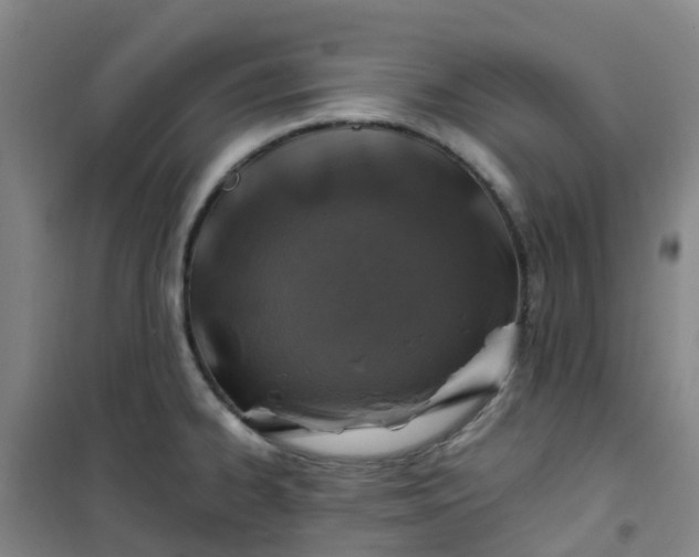 X0000101171334200807111043