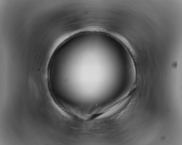 X0000101171335200807111043