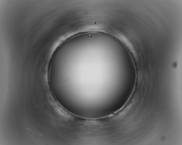 X0000101171336200807111043