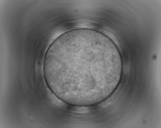 X0000101171338200807111043