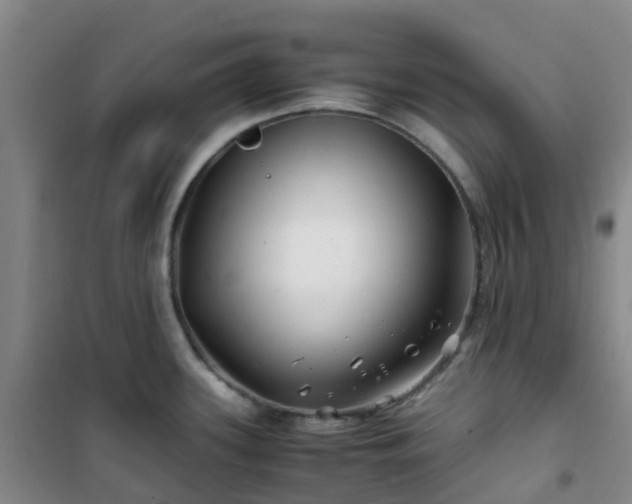 X0000101171339200807111043