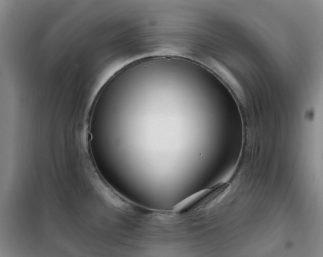 X0000101171340200807111043