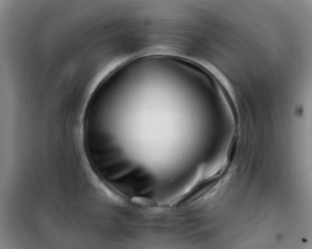 X0000101171341200807111043