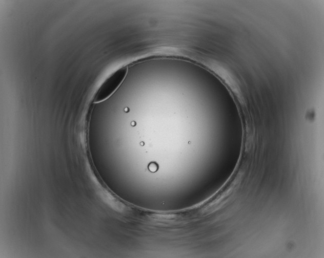 X0000101171342200807111043