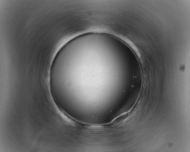 X0000101171343200807111043