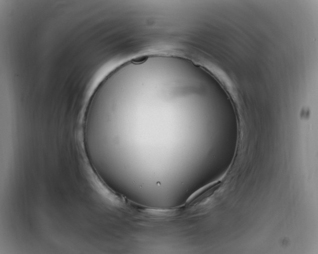 X0000101171344200807111043
