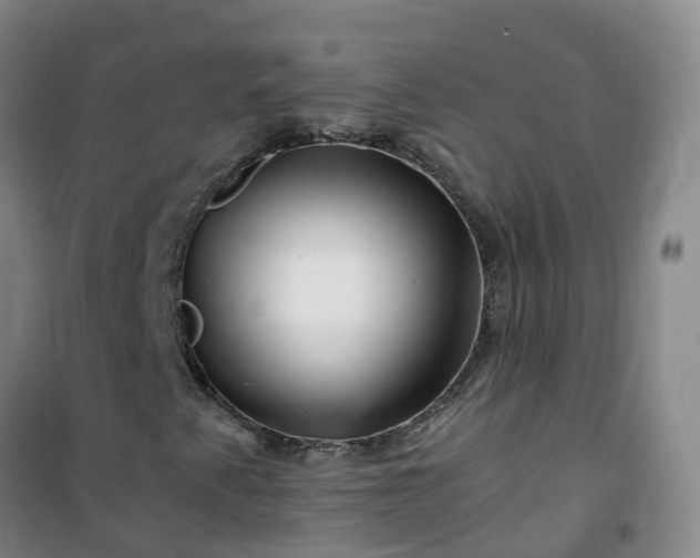X0000101171345200807111042
