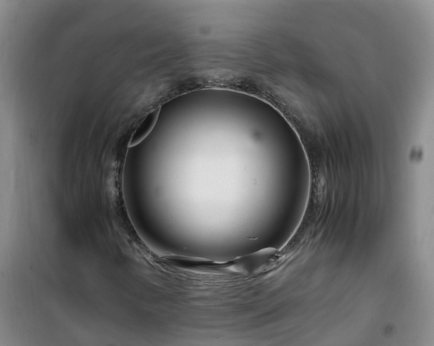 X0000101171346200807111042