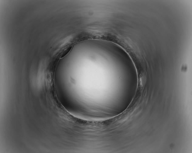 X0000101171347200807111042
