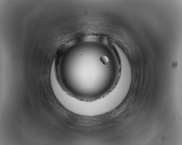 X0000101171348200807111042