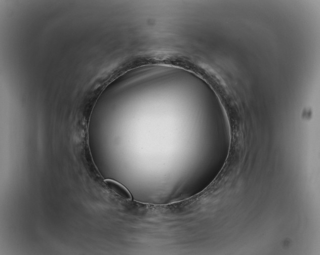 X0000101171349200807111042
