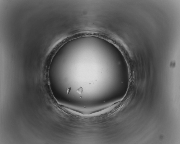 X0000101171352200807111042