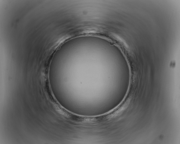 X0000101171353200807111042