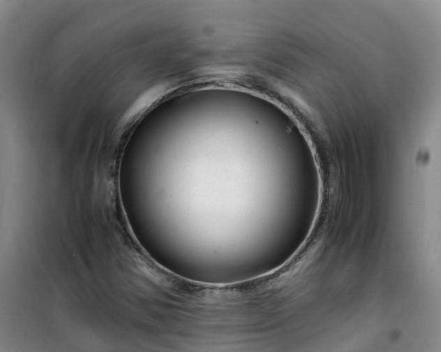 X0000101171354200807111042
