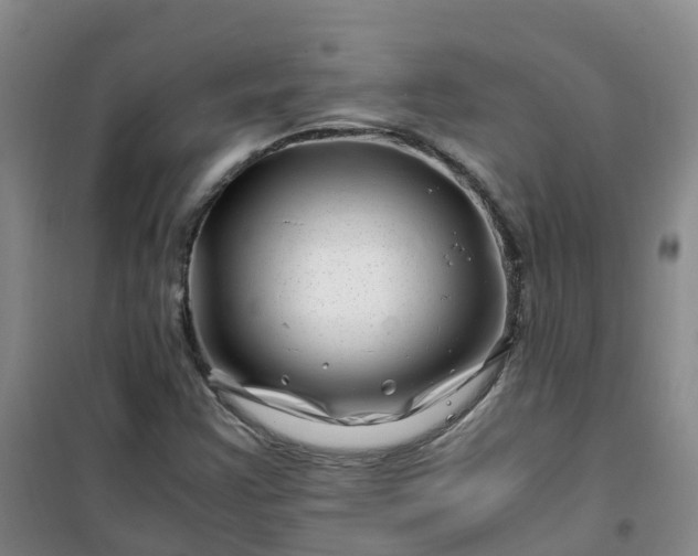 X0000101171355200807111042