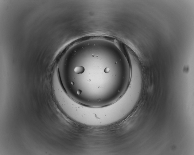 X0000101171356200807111042