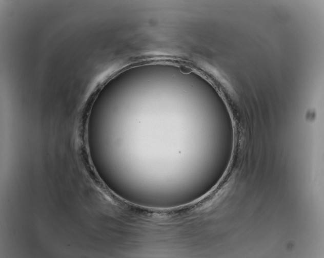 X0000101171357200807111042