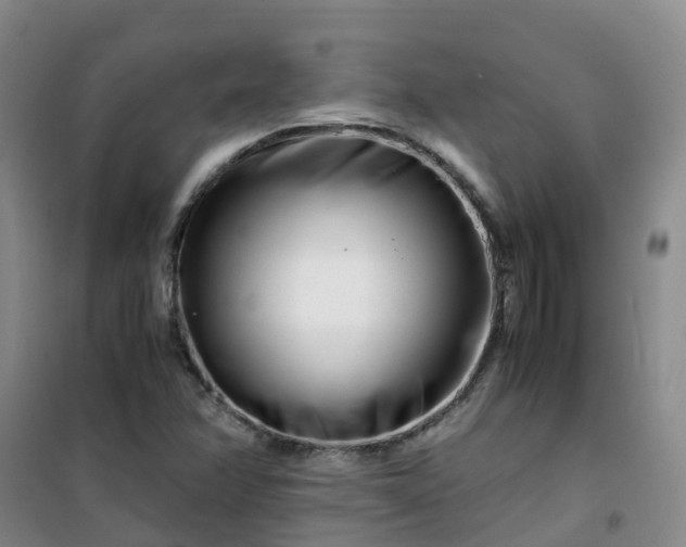 X0000101171358200807111042