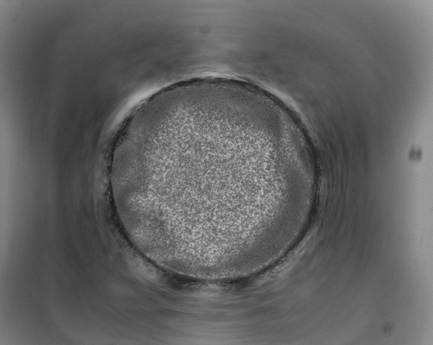 X0000101171359200807111042