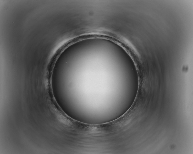 X0000101171360200807111042
