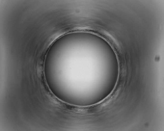 X0000101171361200807111042
