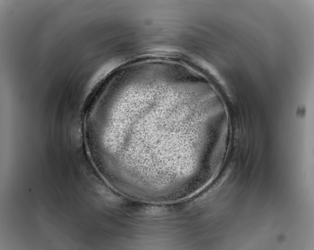 X0000101171362200807111042