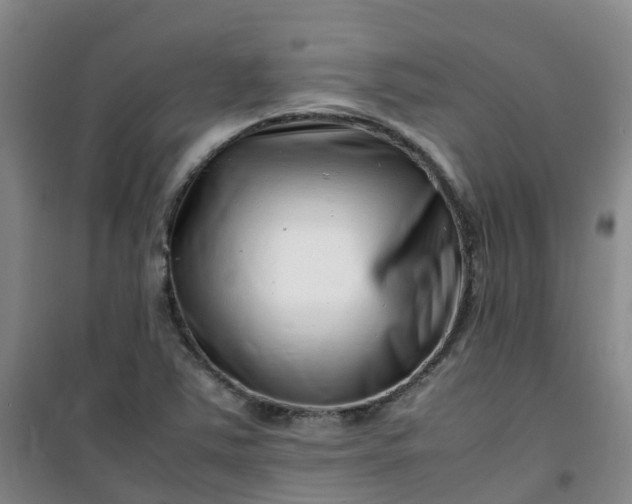 X0000101171363200807111042