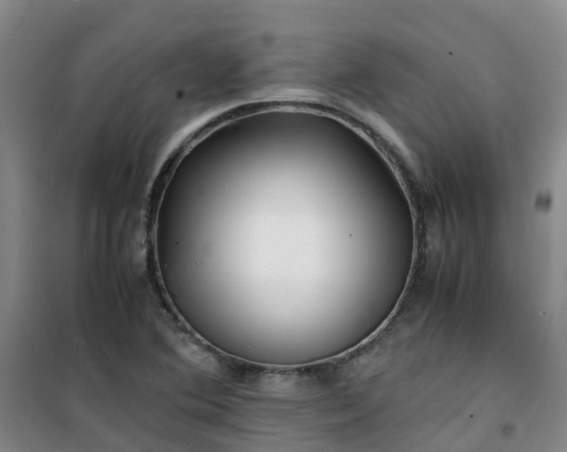 X0000101171364200807111042