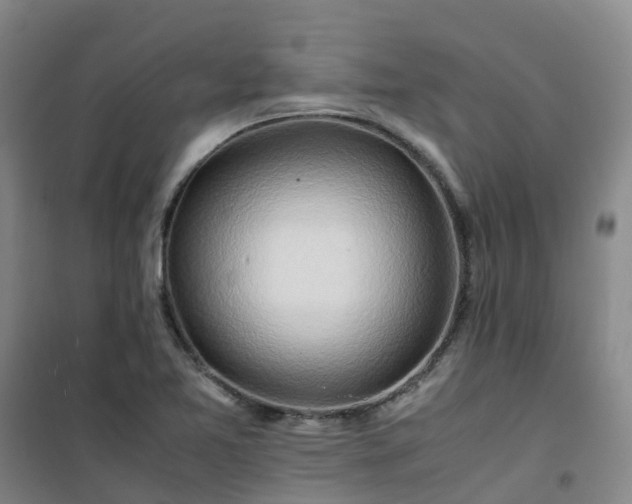 X0000101171365200807111042
