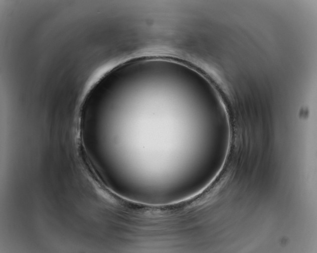 X0000101171366200807111042