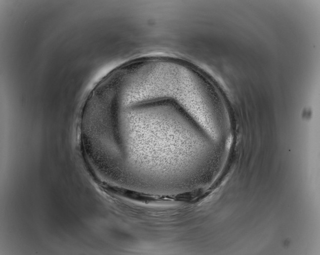 X0000101171367200807111042