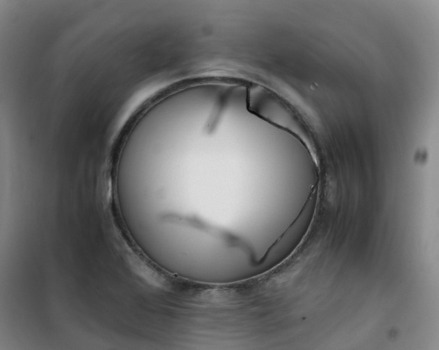 X0000101171368200807111042