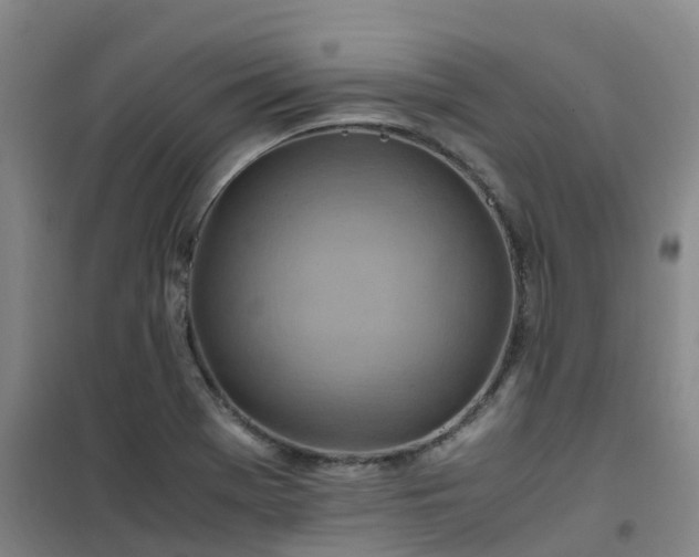 X0000101171369200807111042