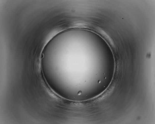 X0000101171370200807111042