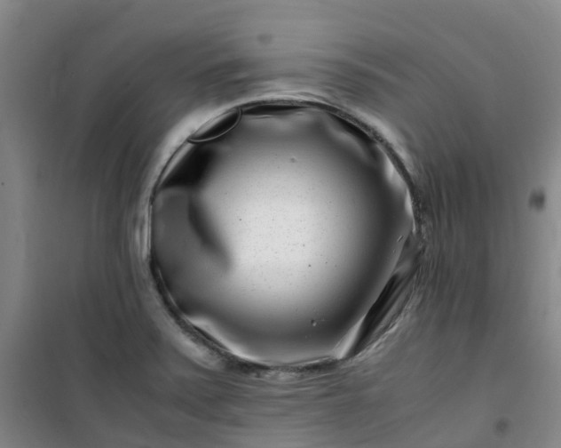 X0000101171371200807111042
