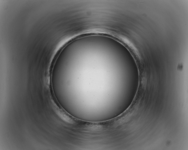 X0000101171372200807111042
